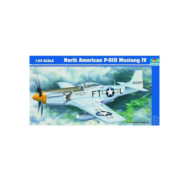 Maquette d'avion en plastique P-51D MUSTANG IV Maquette d'avion en plastique P-51D MUSTANG IV