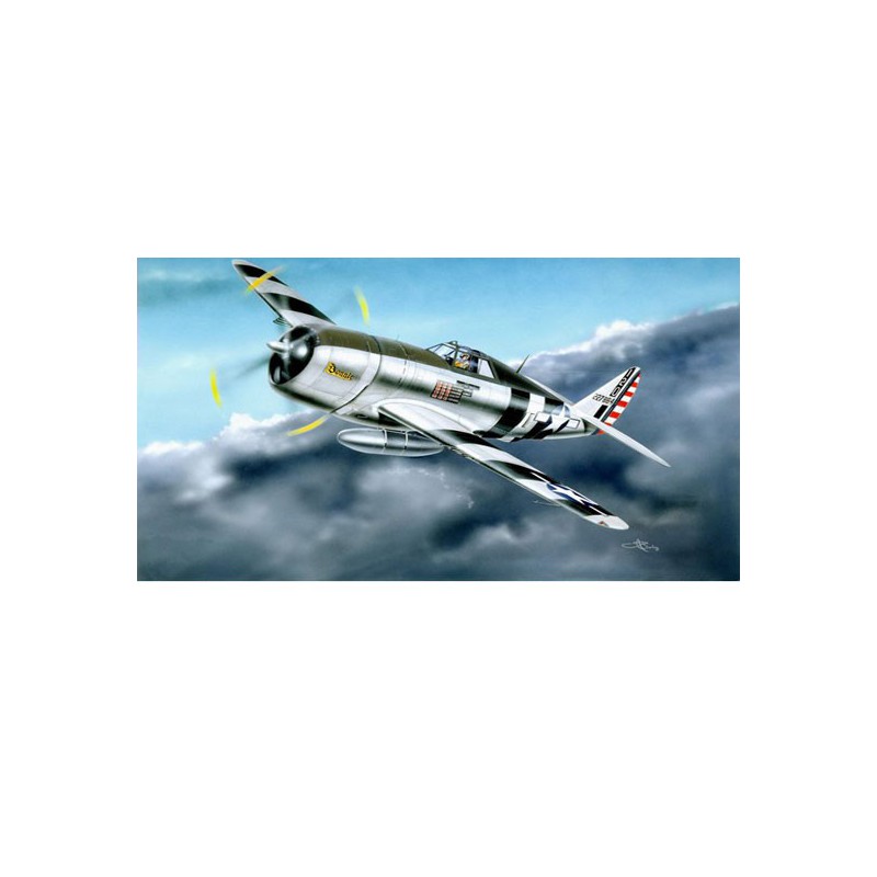 Maquette d'avion en plastique P-47D "RAZORBACK"