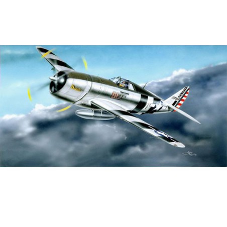 P-47D plastic plane model "Razorback" | Scientific-MHD