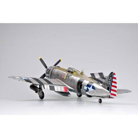 Maquette d'avion en plastique P-47D "RAZORBACK"