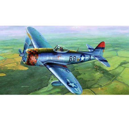 P-47D plastic plane model "Dorsal fine" | Scientific-MHD