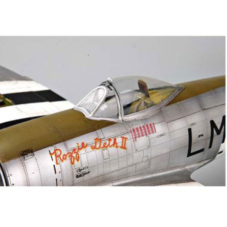 P-47D plastic plane model "Dorsal fine" | Scientific-MHD