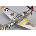 Maquette d'avion en plastique P-51 D MUSTANG