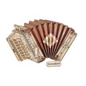 Easy mechanical 3D puzzle for model the accordion | Scientific-MHD