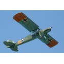 Radiocomanded thermal airplane Fieseler Storch Fi156 Kit Foams Softed foam | Scientific-MHD