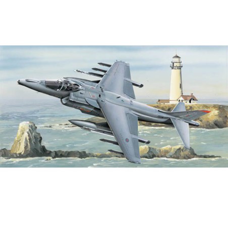 RAF Plastikflugzeug Modell Harrier Gr.mk7 | Scientific-MHD