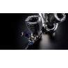 Max B21 Adam Drake II | Scientific-MHD Max B21 Adam Drake II | Scientific-MHD