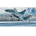 Maquette d'avion en plastique RUSSIAN MIG-29UB FULCRUM