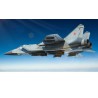 Russian Mig-31 Foxhound plastic plane model | Scientific-MHD