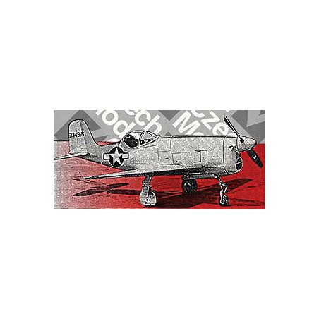 Plastic plane model XP-77 1/48 | Scientific-MHD