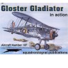 Gloster Gladiator in Action Book | Scientific-MHD