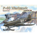 Buch P-40 Warhawk in Aktion | Scientific-MHD