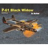 Buch P-61 Black Witwe in Aktion | Scientific-MHD