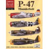 Buch P-47 Thunderbolt berühmtes Flugzeug der Welt | Scientific-MHD