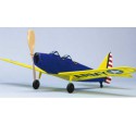 Foliold Flow Flight Fairchild PT-19 | Scientific-MHD