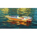 SCARAB 60 radio -controlled thermal boat | Scientific-MHD