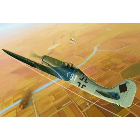 Maquette d'avion en plastique Focke Wulf FW190D-11 1/48