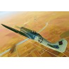 Maquette d'avion en plastique Focke Wulf FW190D-11 1/48