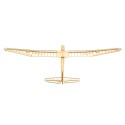 Planeur radiocommandé Glider SUNBIRD EP 1600mm kit