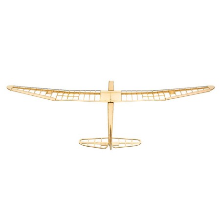 Planeur radiocommandé Glider SUNBIRD EP 1600mm kit