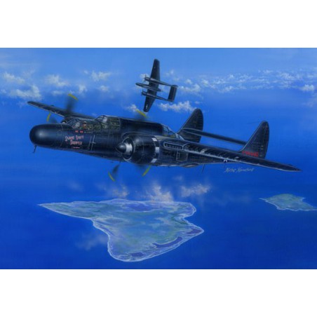 US plastic plane model P-61B Black Widow 1/48 | Scientific-MHD
