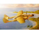 US P-61A plastic plane model Widow 1/48 | Scientific-MHD