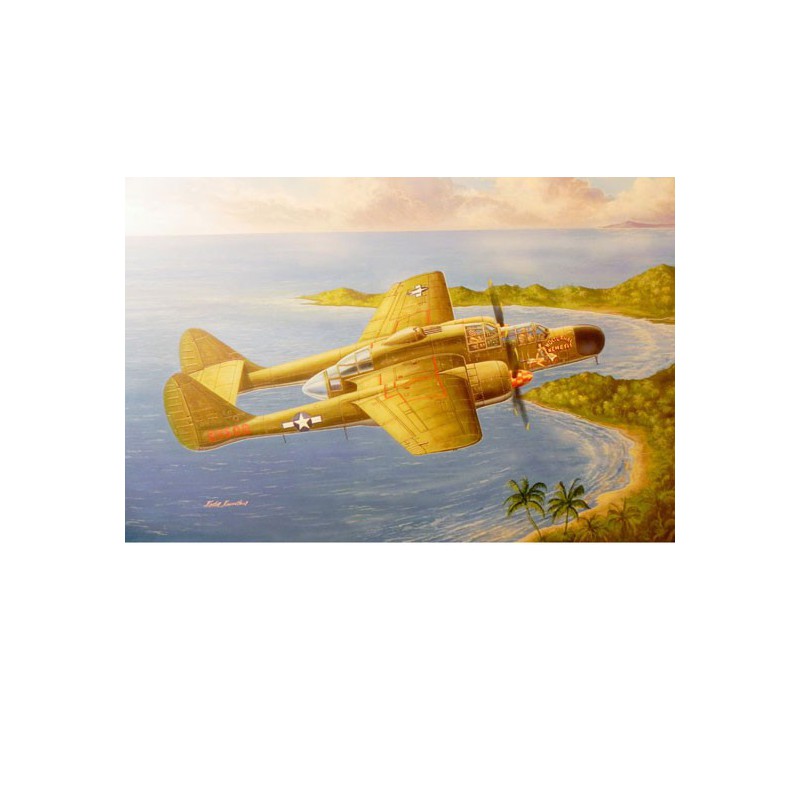 Maquette d'avion en plastique US P-61A Black Widow 1/48