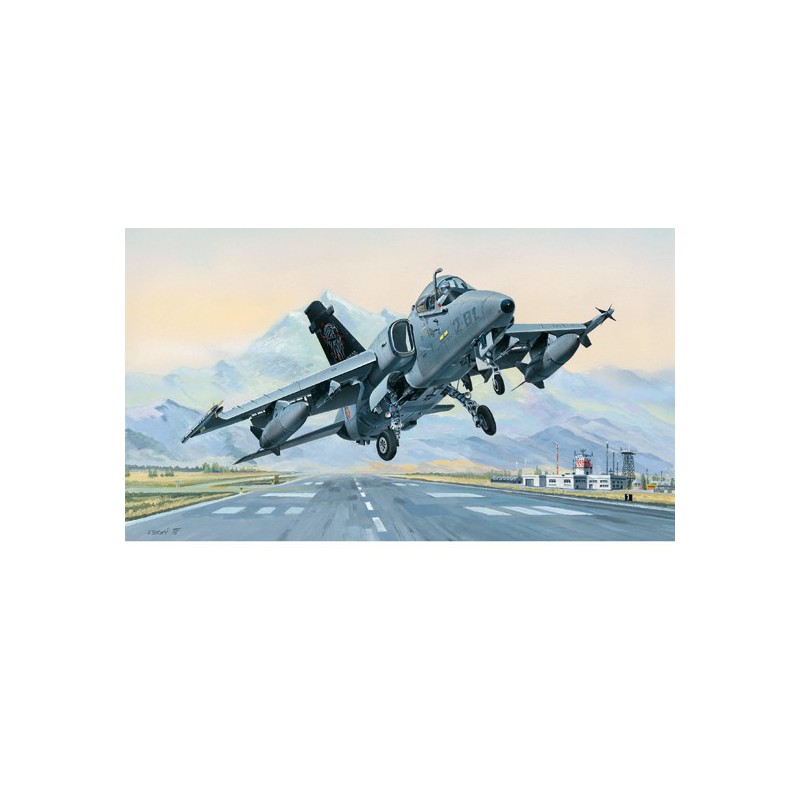 Maquette d'avion en plastique AMX Ground Attack A. 1/48