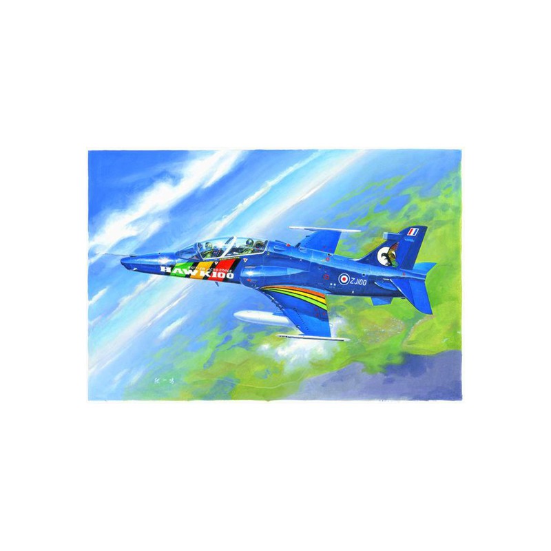 Maquette d'avion en plastique Hawk T MK.100/102 1/48