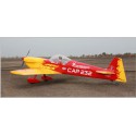 Cap 232 - 46 ARF radio -controlled thermal airplane | Scientific-MHD