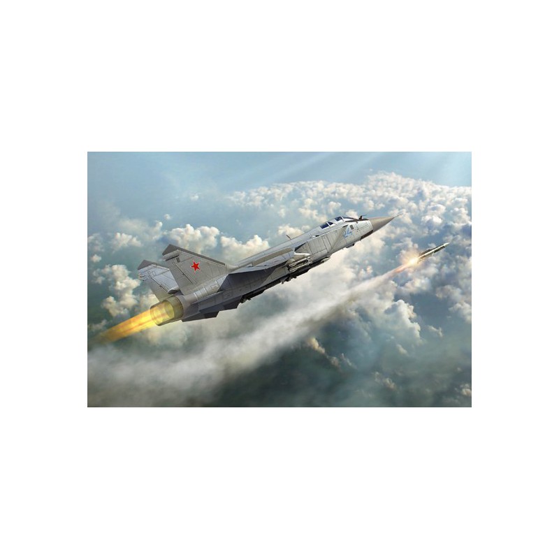 Maquette d'avion en plastique MIG - 31 FOXHOUND 1/48