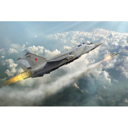 Maquette d'avion en plastique MIG - 31 FOXHOUND 1/48