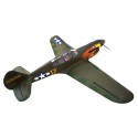 Radio-controlled thermal aircraft P-40N ARF + TR Electric | Scientific-MHD