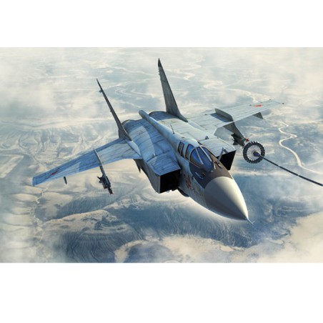 Maquette d'avion en plastique MIG 31B/BM Foxhound 1*48