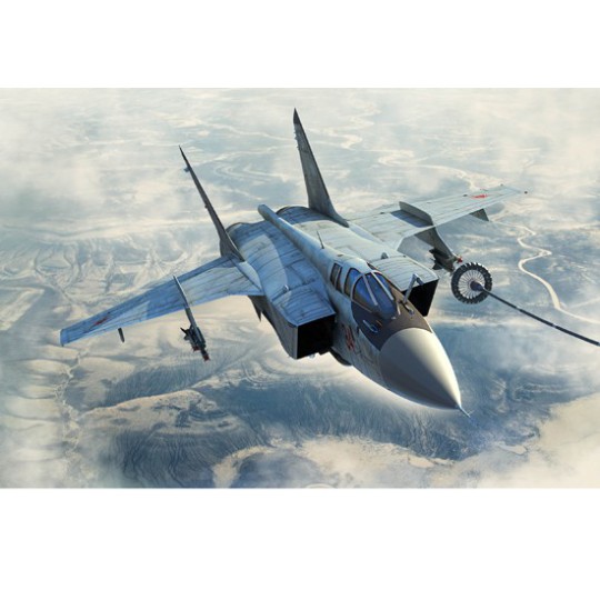 Maquette d'avion en plastique MIG 31B/BM Foxhound 1*48 Maquette d'avion en plastique MIG 31B/BM Foxhound 1*48