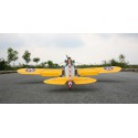 Ryan PT-22 40cc arf radio-controlled thermal airplane | Scientific-MHD