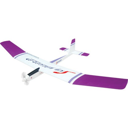 Sky Walker Eparf radio -controlled electric aircraft | Scientific-MHD