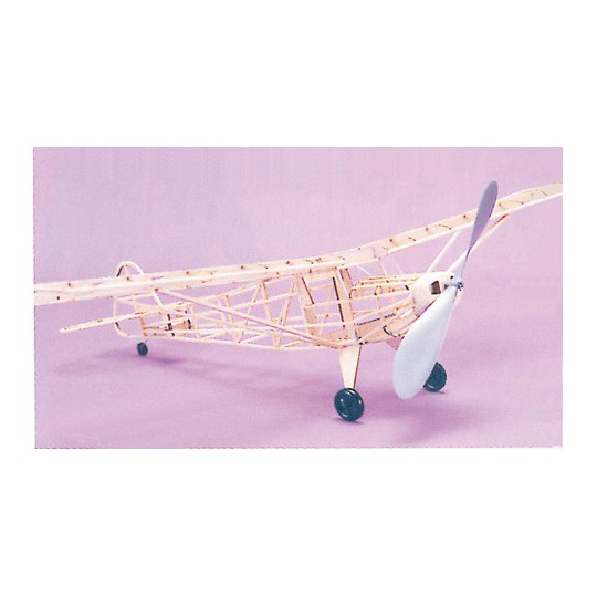 Avion de vol libre radiocommandé TAYLORCRAFT