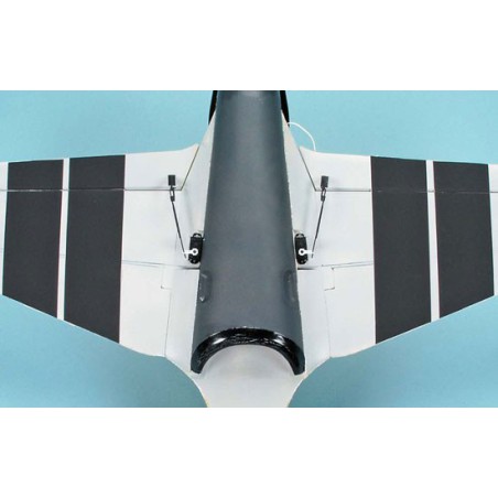 Synapse EP-ARF radio-controlled electric aircraft | Scientific-MHD