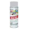 Painting for aluminum-aerosol 300ml model | Scientific-MHD