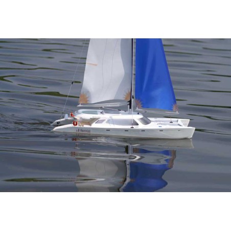 Radio -controlled sailboat MHD Catamaran Gemini 600 R/C | Scientific-MHD