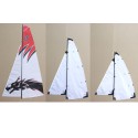 RAG65 RG65 ARS / MHD4S competition sailboat | Scientific-MHD