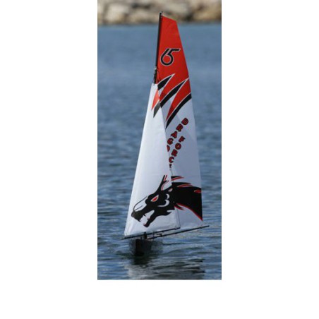 RAG65 RG65 ARS / MHD4S competition sailboat | Scientific-MHD