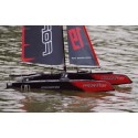 Reta 2 catamaran radio -controlled sailboat RTS | Scientific-MHD