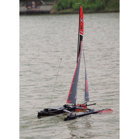 Reta 2 catamaran radio -controlled sailboat RTS | Scientific-MHD