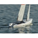 Dragon Dragon Force RG65 V6 Arts sailboat | Scientific-MHD