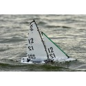 Dragon Dragon Force RG65 V6 Arts sailboat | Scientific-MHD