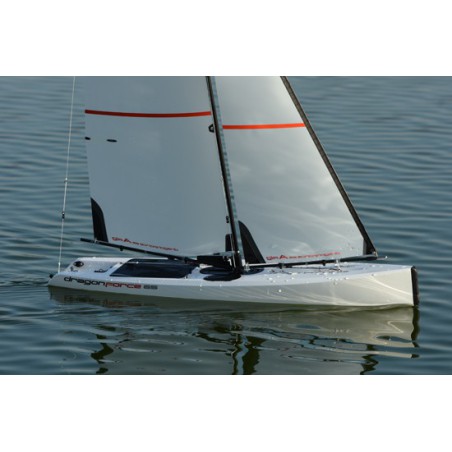 Dragon Dragon Force 65 V7 Arts sailboat | Scientific-MHD