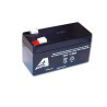 Lead batteries for radio controlled device 12v 1.3Ah | Scientific-MHD