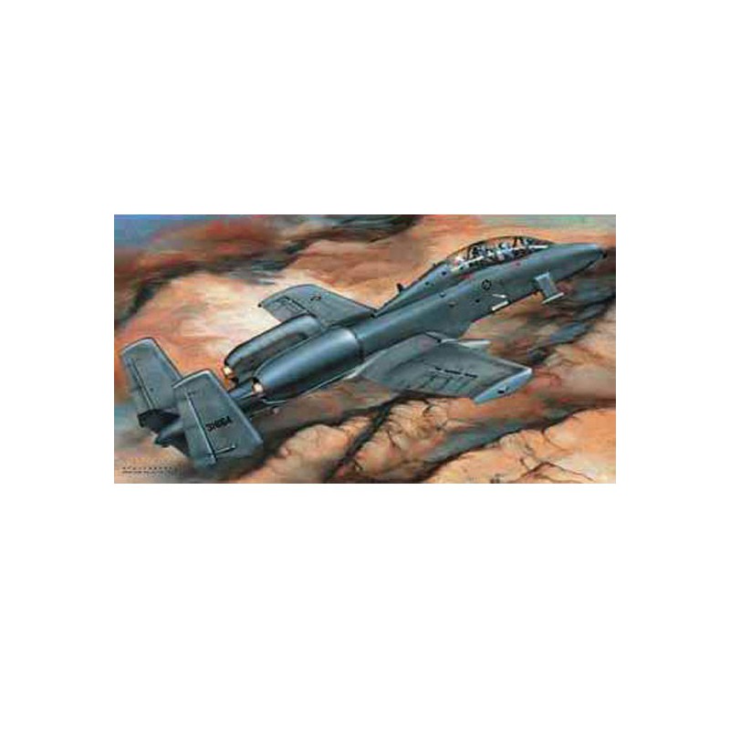 Maquette d'avion en plastique US A-10A N/AW